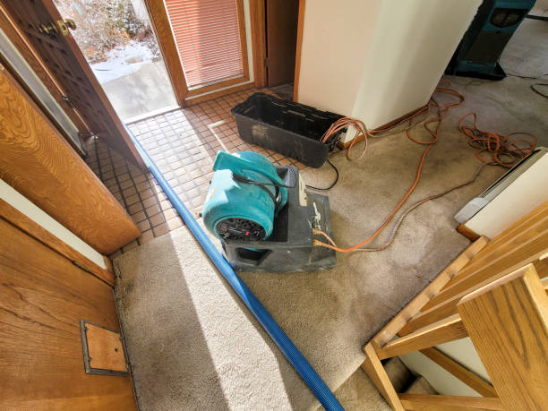 Best Residential water damage restoration  in Silver Lakes, CA