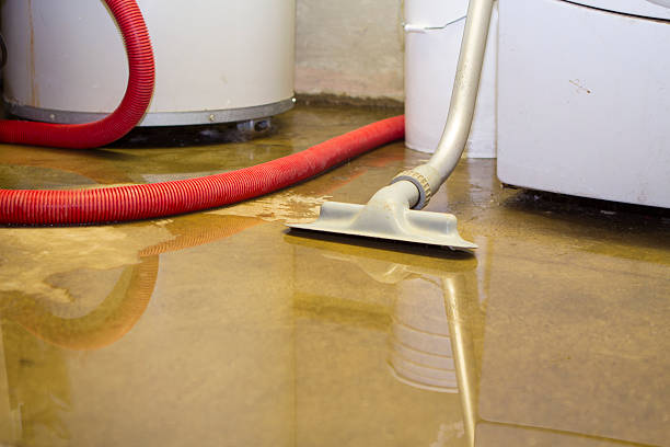 Best 24/7 water damage repair  in Silver Lakes, CA