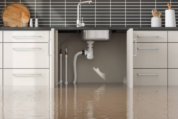 Best Fire Damage Restoration  in Silver Lakes, CA